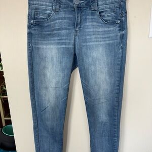 Democracy Light Blue Skinny Jeans